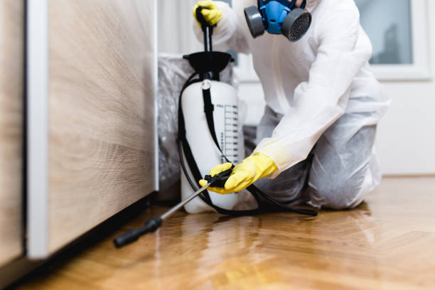 Best Exterminator Services  in Blossom, TX