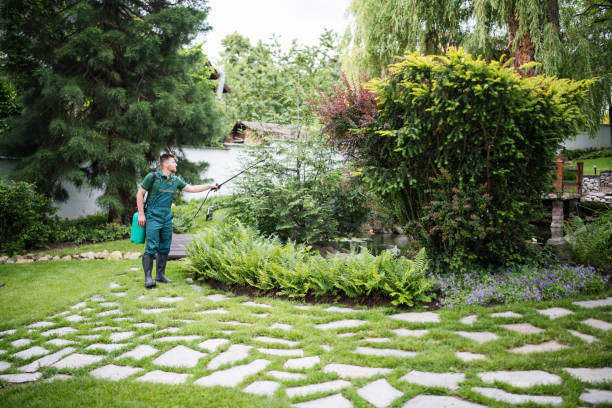 Best Pest Inspection Near Me  in Blossom, TX