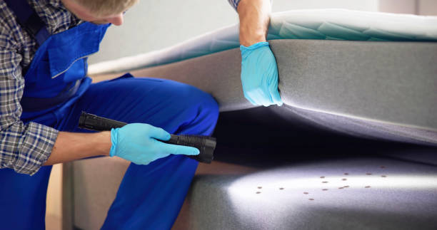 Best Flea Control Services  in Blossom, TX