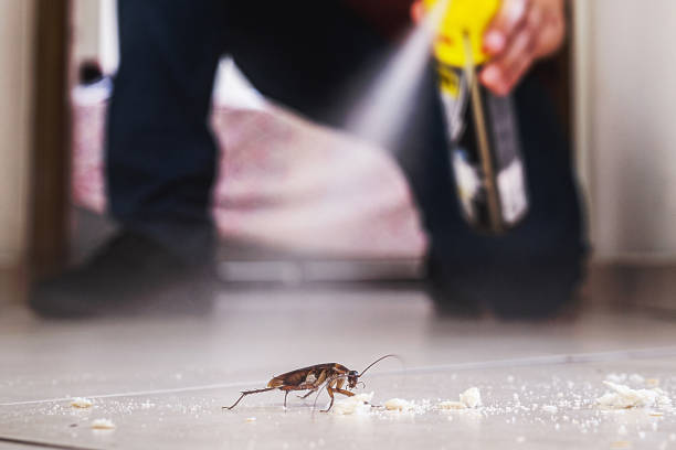 Best Pest Control for Restaurants  in Blossom, TX