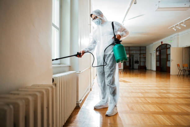 Best Wasp Removal Services  in Blossom, TX